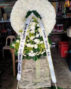 feelings of pity and sorrow